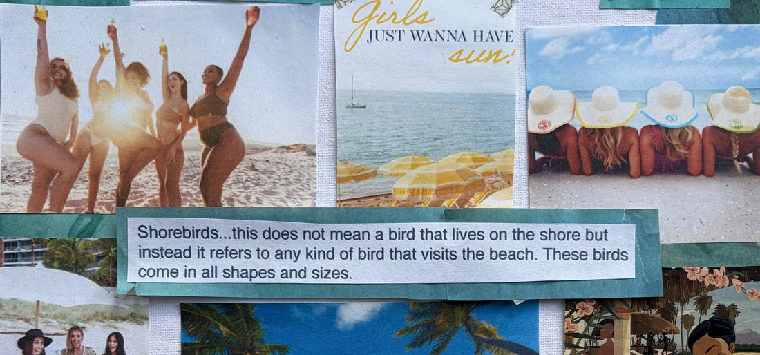 Original Shorebirds mood board with the shorebird definition and women of different body shapes on the beach