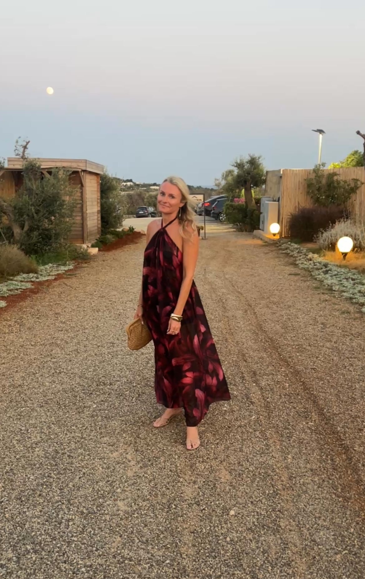 Hera Halter Neck Dress – Red Floral